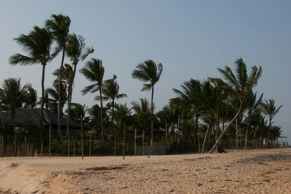 Quelles sont les meilleures pratiques pour une randonnée dans le parc national de Banff, Canada?
